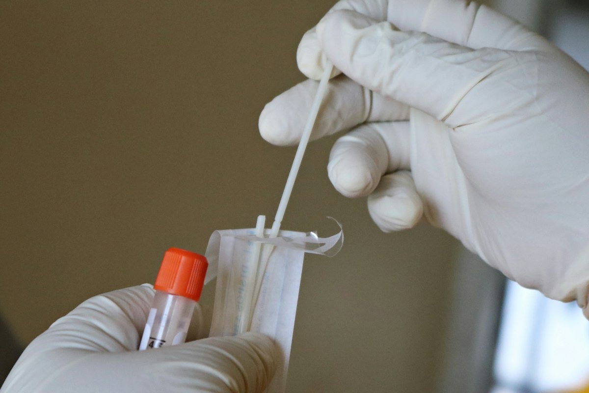 Gloved hands holding a swab and sample tube for DNA paternity test collection in Donna, TX